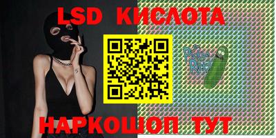 mdpv Краснознаменск